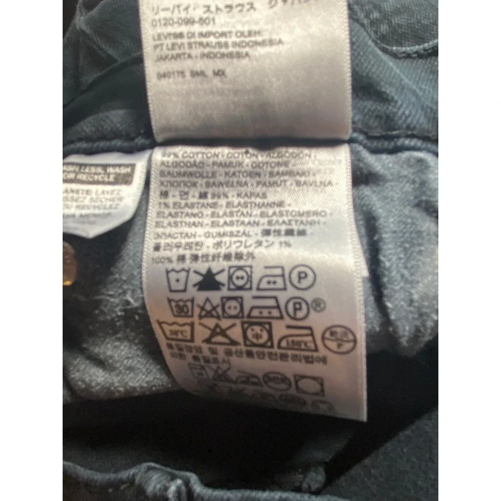 Levis levi strauss